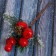 Decor "Winter charm" berry berries Greens, 18 cm