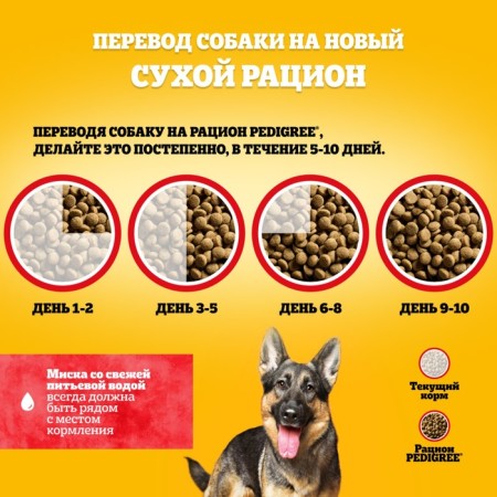 Pedigree dry food for dogs of large breeds, beef, 13 kg-6