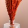 Set of dried flowers "Zheleznitsa", banch length 35 (+/- 6 cm), orange