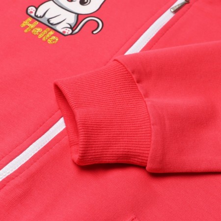 Kit for girls (sweatshirt, trousers), raspberry color, height 104 cm-4