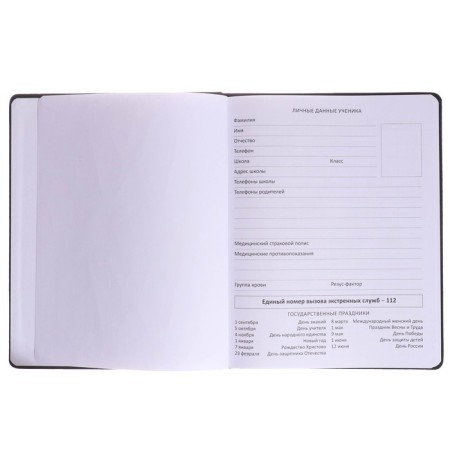 Universal diary for grades 1-11 WoW, hard cover, artificial leather, foil embossing, lies, 80 g/m2-3