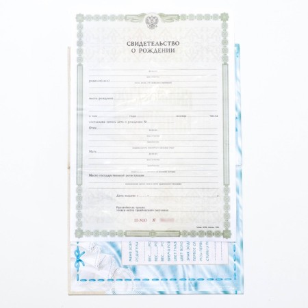 Folder for the birth certificate "About the birth of a boy", A5-4