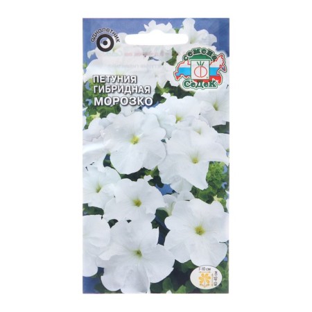 Petunia Fronts "Morozko", Euro, 10 pcs