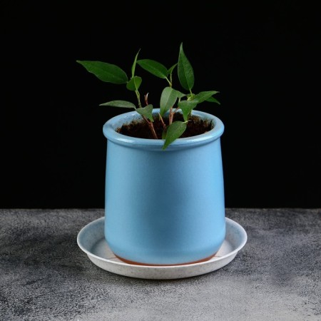 Patron for the pot, d = 9.8 cm, plastic, color marble-3