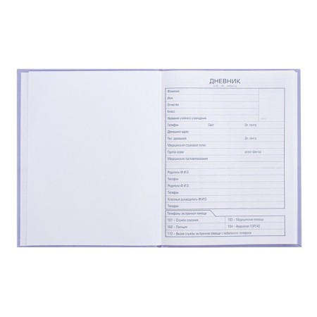 Universal diary for grades 1-11 Smile! ", Firm cover, matte lamination, 40 sheets-3