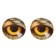Eyes, set 14 pcs., Size: 1.4 cm