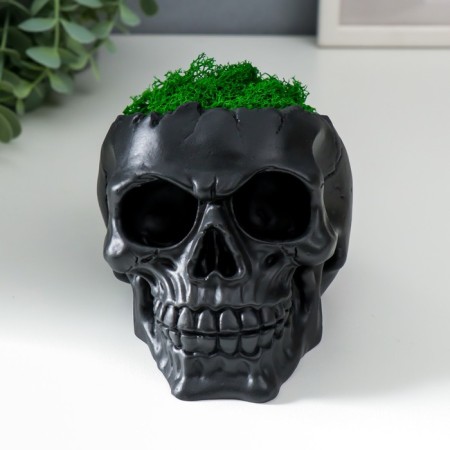 Kashpo concrete "skull" height 10 cm black with moss (moss green stabilized)