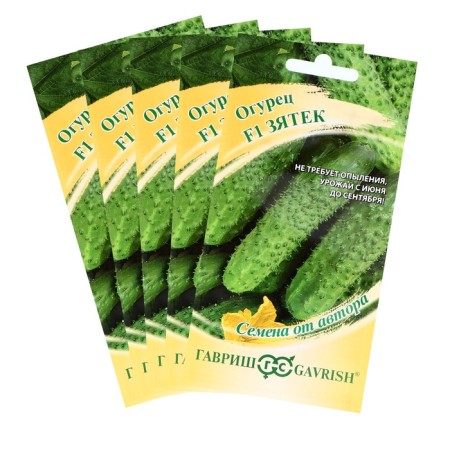 Cucumber "Zyatk" F1, early -grown, parthenocarpic, set of 5 pcs