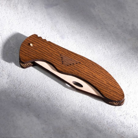Souvenir weapon "Folding knife", 11.5x20 cm-1