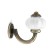 Furniture hook Cappio Camellia, one -rod, bronze