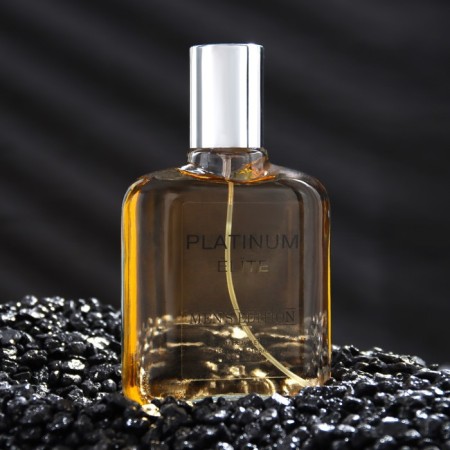 Men’s Edition Platinum Elite, 100 ml (based on Egoiste Platinum (Chanel)-1
