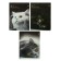 Notepad A7, 40 sheets in a cage on a clip "cat", mix