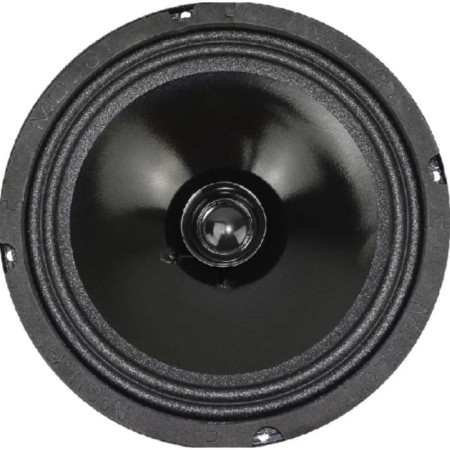 Car acoustics Ural AC-M200 Molot, broadband 200 mm, 100/200 watts