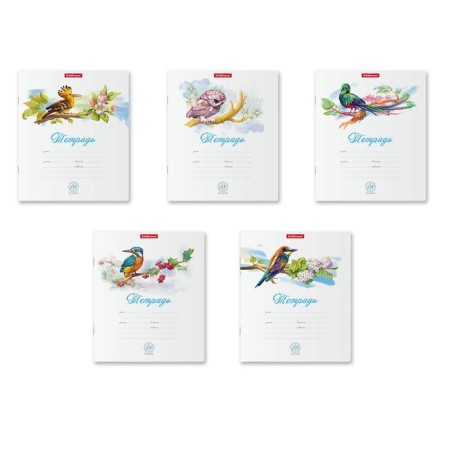 Notebook of 18 sheets in the Erichkrause Birds cage, cover coated cardboard, offset unit, whiteness 100%, mix