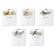 Notebook of 18 sheets in the Erichkrause Birds cage, cover coated cardboard, offset unit, whiteness 100%, mix