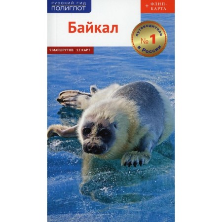 Baikal. Kochergin I.