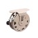 Curlar Coil Namazu Eagle, aluminum, 2 bearings, 5.5 cm