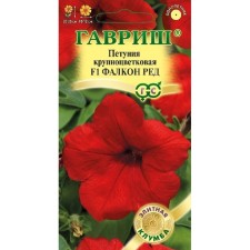 Petunia seeds 