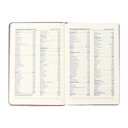The diary is undathed, PVC cover, A5, 140 liter format, cell, metallic gold-7