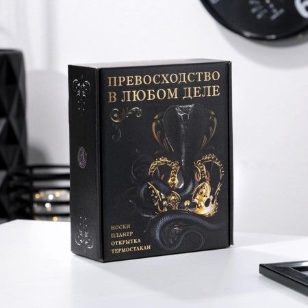 Gift set "Excellence", thermostatic, glider, postcard, socks mix-3