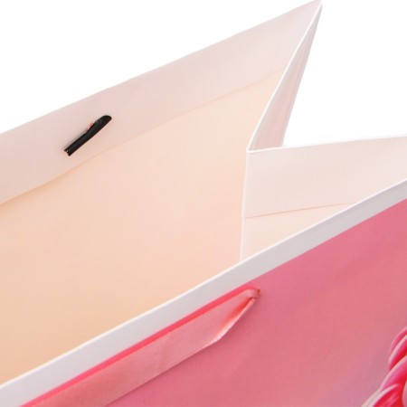 Laminated package "Princess", XXL 46 x 61 x 20 cm-3