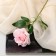 Artificial flowers "Rose Grand Prix at" 8x56 cm, pink