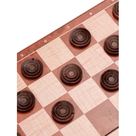Magnetic chess 24 x 24 cm, King H-4.9 cm, Pig H-2.4 cm-8