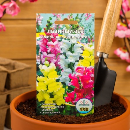 Flower seeds lion pharynx mixture of high varieties, o, 0.1 g-2
