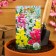 Flower seeds lion pharynx mixture of high varieties, o, 0.1 g