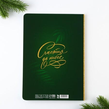 New Year. Diary Soft cover Software Tach, 24 x16.5 cm, 80 sheets of “miracles in the new year”-4