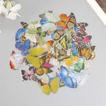Stickers for creativity PLC PVC "Flower butterflies" set 60 pcs 10x14 cm-1