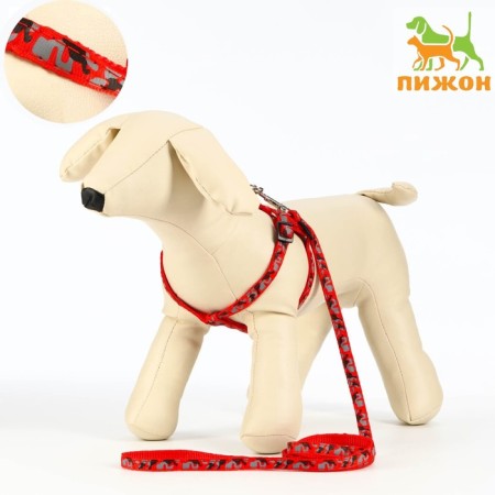 The stolen set "Militari", leash 120 x 1 cm, OG 23-35 cm, red