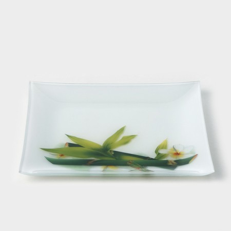 Bamboo Glass Bamboo Glass, 19.5 × 19.5 cm-1