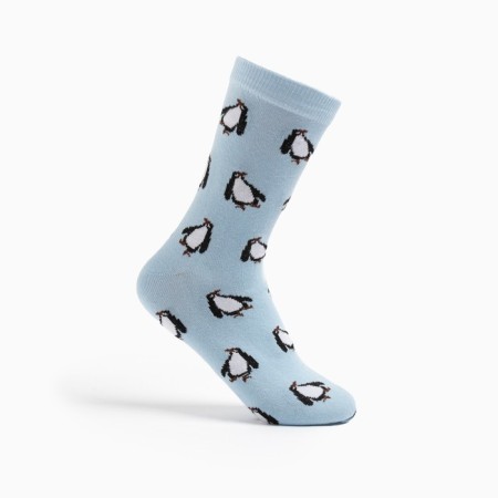 Male socks "Penguins" Blue color, size 25