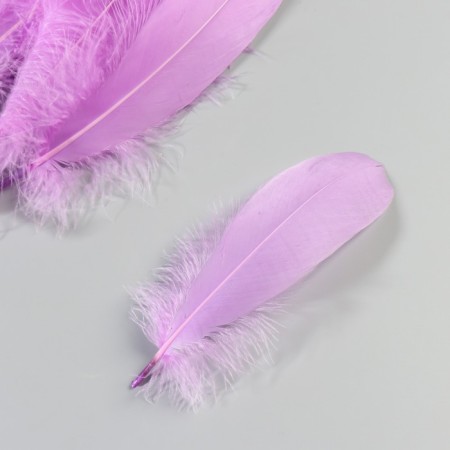 A set of goose feathers 13-18 cm, 20 pcs, light purple-2