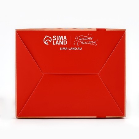 Packaging for confectionery "New Year's surprises", 8 x 10 x 16 cm, New Year-6