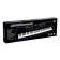 Synthesizer "Children's", 61 key, with a microphone