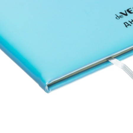 Universal diary for grade 1-11 "Why?", Firm cover, artificial leather, with foam, lies, 80 g/m2-2