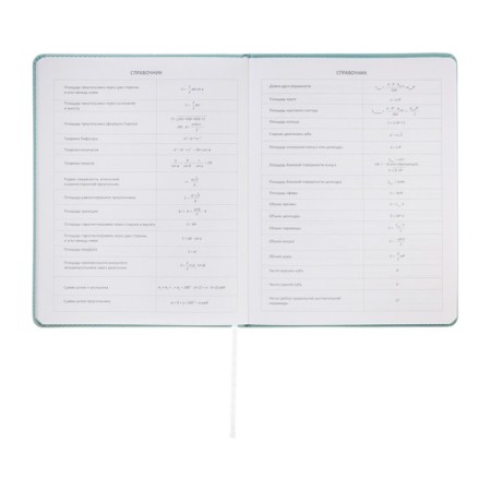 Universal diary for grade 1-11 Modern Concept, solid cover, artificial leather, silkography, liesse, 80 g/m2-9