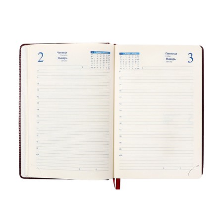 Dated diary of 2025, A5, 168 sheets in the ruler, leatherette "Nebraska", gold cut, burgundy-11