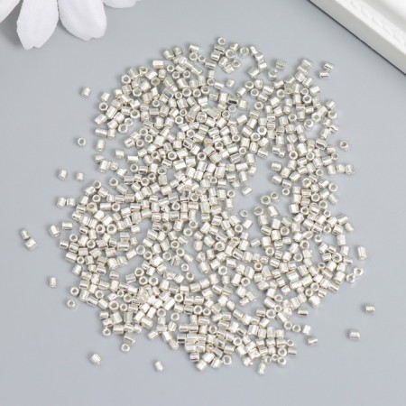 Glass beads 12/0 "cylinder. Silver" 10 g-1