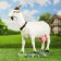 Garden figure "Small goat" 44x41x18 cm