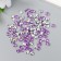 Decor for creativity in the bottle "Rhinesti. Lilac" set 250 pcs d = 0.6 cm 4x3x3 cm