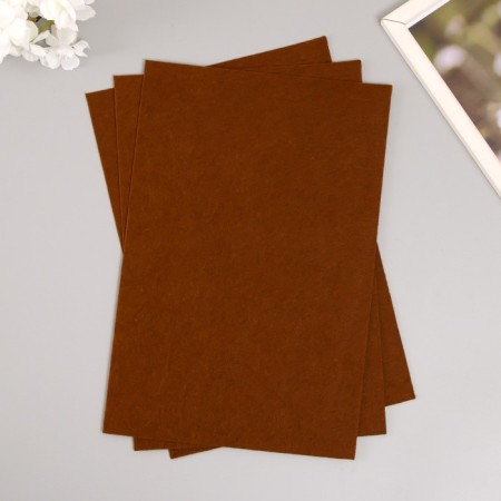 A set of hard felt "Astra" (3 pcs) brown, 1 mm, 160 gr, 20x30 cm-1