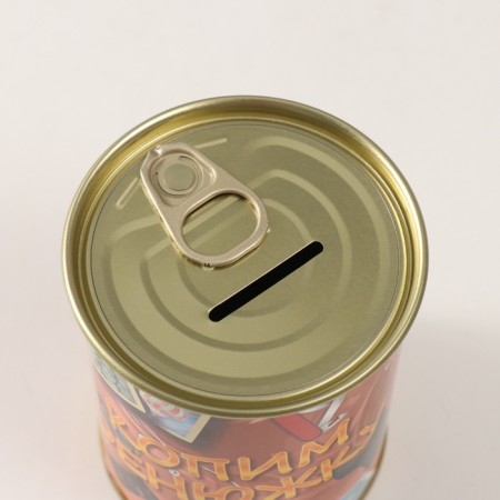 Pigger Bank Metal "Copy Denyuzhka"-4
