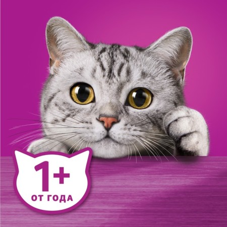 WHENE FORD WHISKAS for cats, duck, paste, 75 g-8