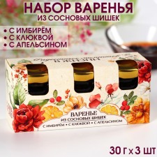 A set of jam with pine cones of “joyful moments”, tastes: ginger, cranberries, orange, 30 g 3 pcs.