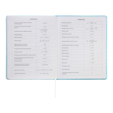 Universal diary for grade 1-11 Cool Girl, hard cover, artificial leather, silkography, lies, 80 g/m2-9