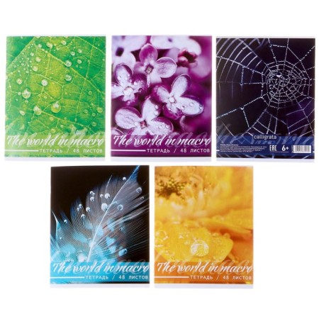 Notebook of 48 sheets in Calligrata Micromium cage, cover covering cardboard, offset unit, mix