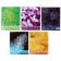 Notebook of 48 sheets in Calligrata Micromium cage, cover covering cardboard, offset unit, mix